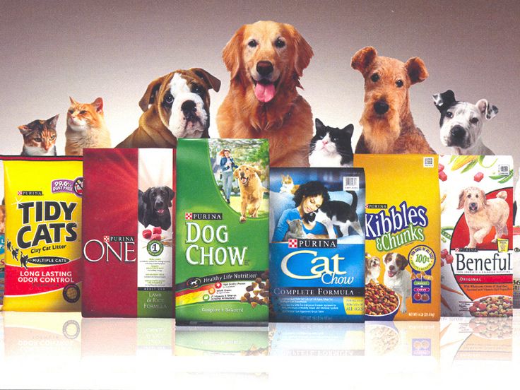 How to Choose the Right Food for Your Dog or Cat