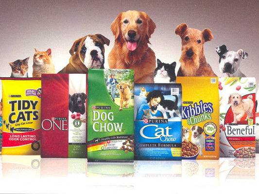 How to Choose the Right Food for Your Dog or Cat