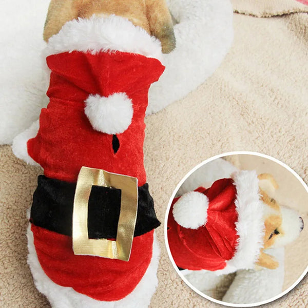 Merry Paws Holiday Outfits – Christmas Wear for Dogs & Kittens