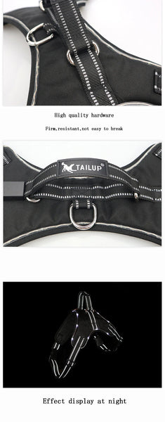 GlowSafe LED Dog Harness: Max Visibility & Safety at Night