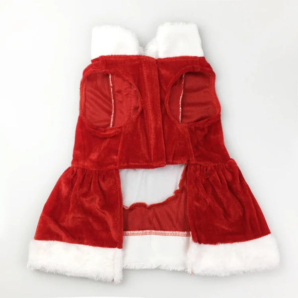 Merry Paws Holiday Outfits – Christmas Wear for Dogs & Kittens
