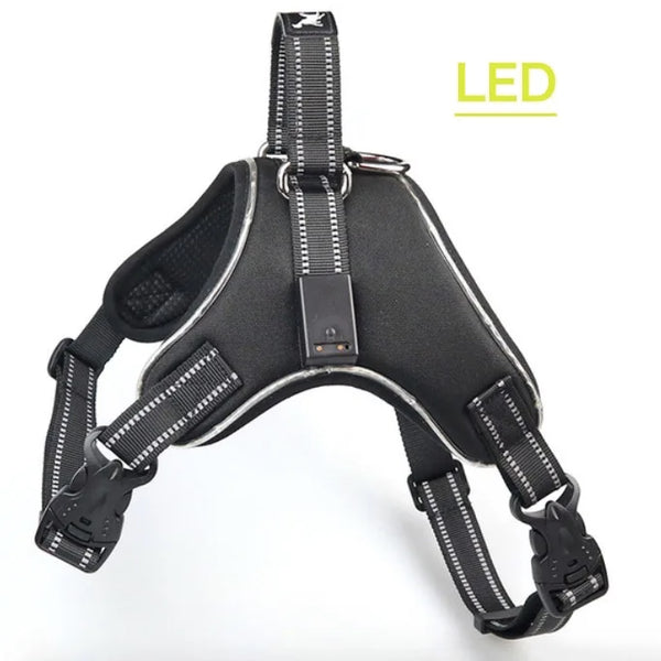 GlowSafe LED Dog Harness: Max Visibility & Safety at Night