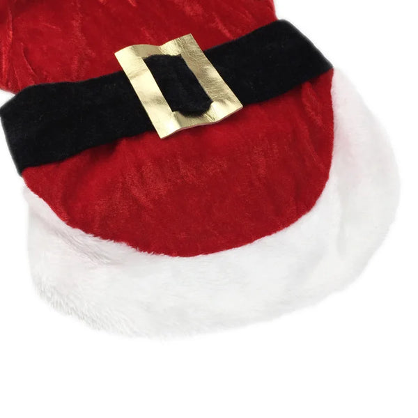 Merry Paws Holiday Outfits – Christmas Wear for Dogs & Kittens