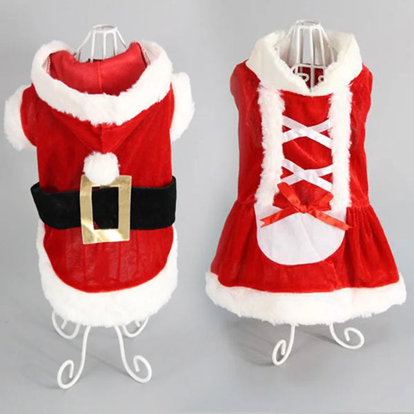 Merry Paws Holiday Outfits – Christmas Wear for Dogs & Kittens