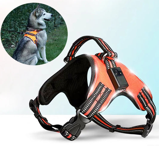 GlowSafe LED Dog Harness: Max Visibility & Safety at Night