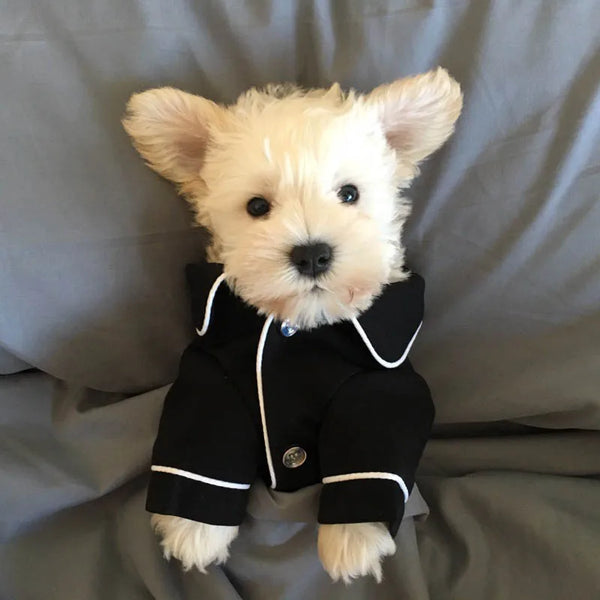 Cozy nights with pet pyjamas