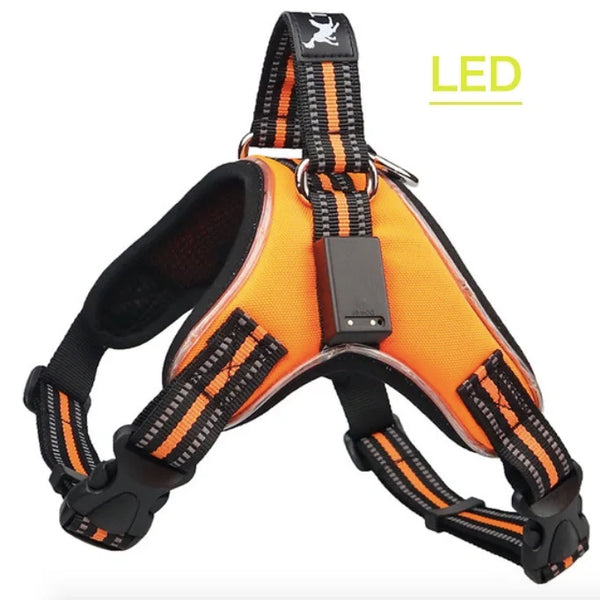GlowSafe LED Dog Harness: Max Visibility & Safety at Night