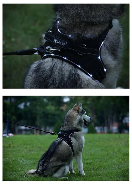 GlowSafe LED Dog Harness: Max Visibility & Safety at Night