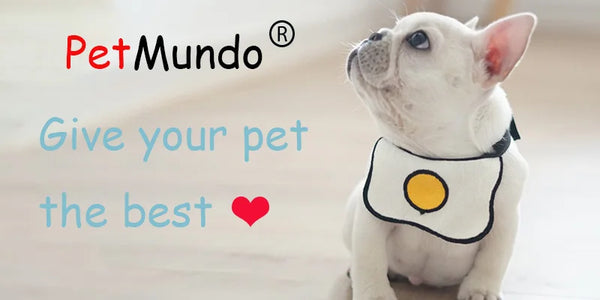 Cozy nights with pet pyjamas