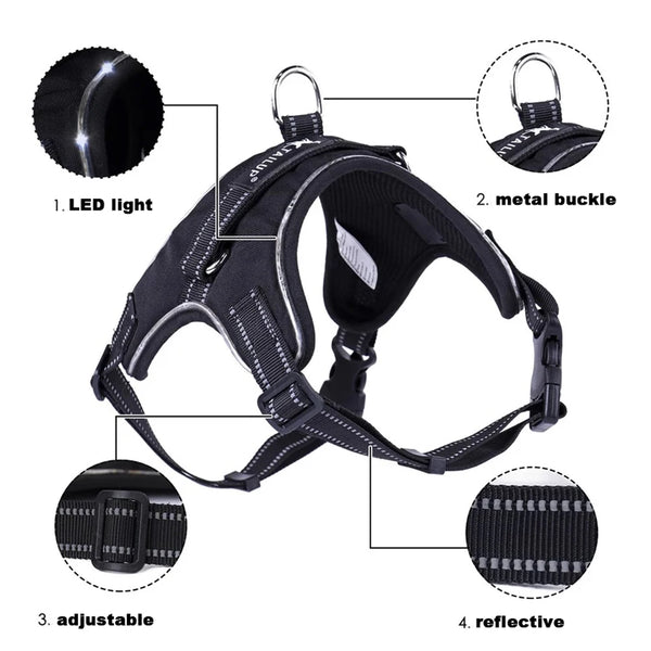 GlowSafe LED Dog Harness: Max Visibility & Safety at Night