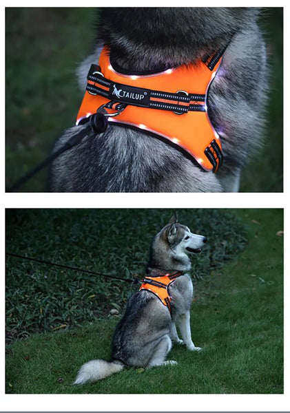 GlowSafe LED Dog Harness: Max Visibility & Safety at Night