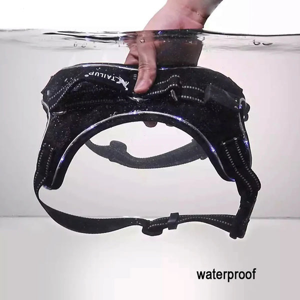 GlowSafe LED Dog Harness: Max Visibility & Safety at Night