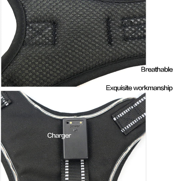 GlowSafe LED Dog Harness: Max Visibility & Safety at Night