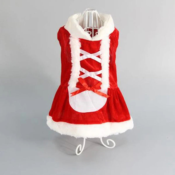Merry Paws Holiday Outfits – Christmas Wear for Dogs & Kittens