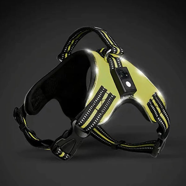 GlowSafe LED Dog Harness: Max Visibility & Safety at Night