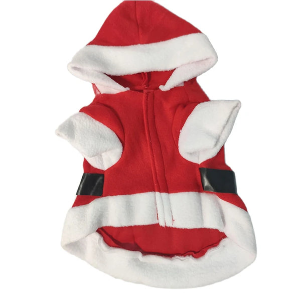 Merry Paws Holiday Outfits – Christmas Wear for Dogs & Kittens