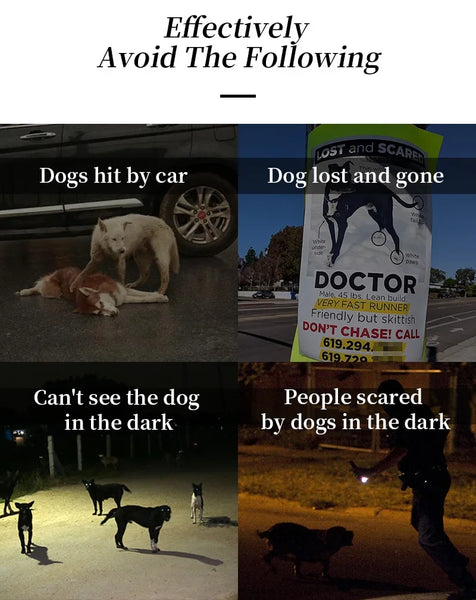 TrailGlow LED Dog Harness: Ultimate Safety with LED Visibility