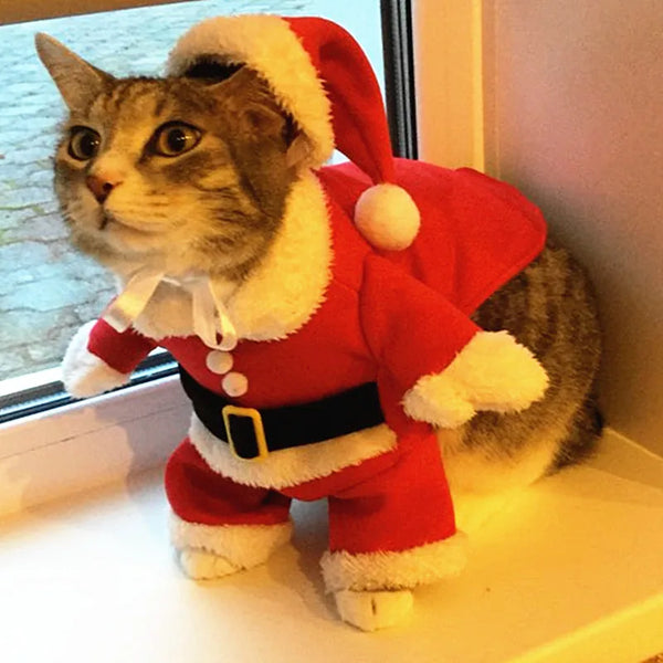 Holiday Pet Costumes – Christmas Apparel for Dogs & Kittens