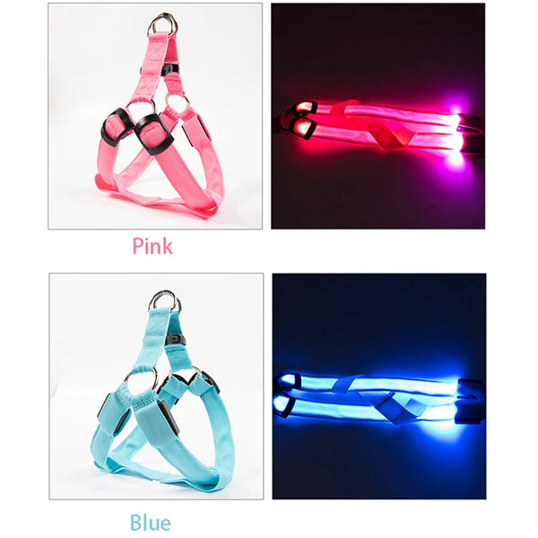 LED Dog Harness for Safety: Bright LumiTrail Lights for Safe Walks
