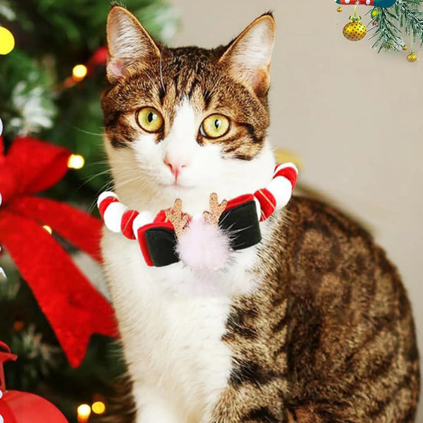 Holiday Pet Accessories – Christmas Collars & Bow Ties for Dogs & Cats