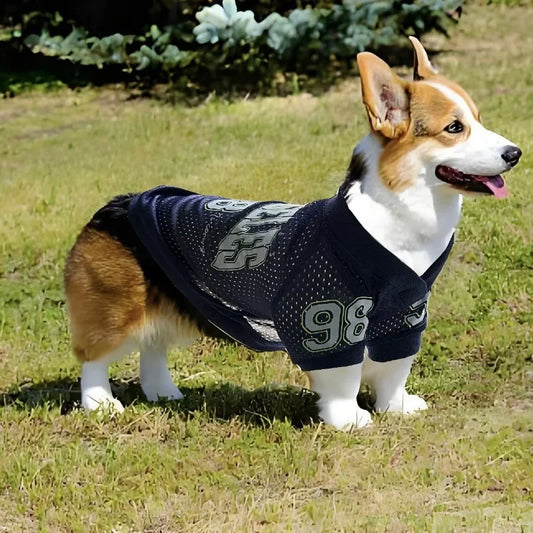 Dog sports jersey in breathable mesh polyester worn by a Corgi, ideal for active Schnauzers and large pets during outdoor play.