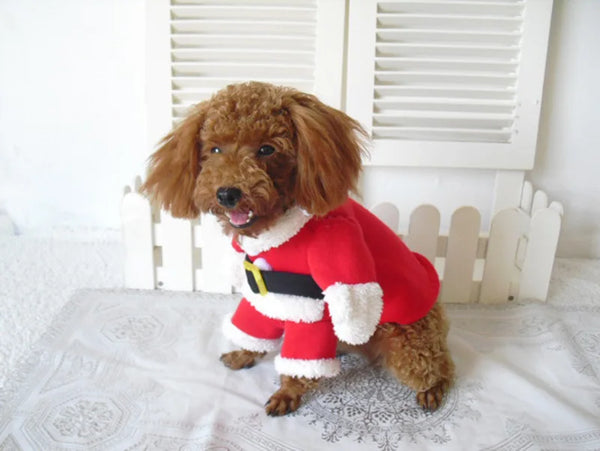 Holiday Pet Costumes – Christmas Apparel for Dogs & Kittens