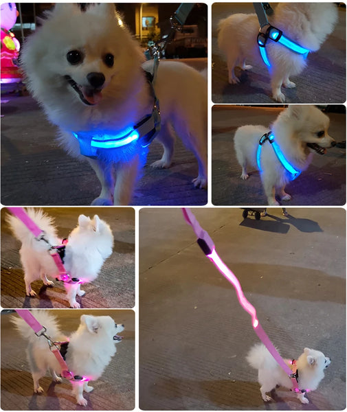 LED Dog Harness for Safety: Bright LumiTrail Lights for Safe Walks