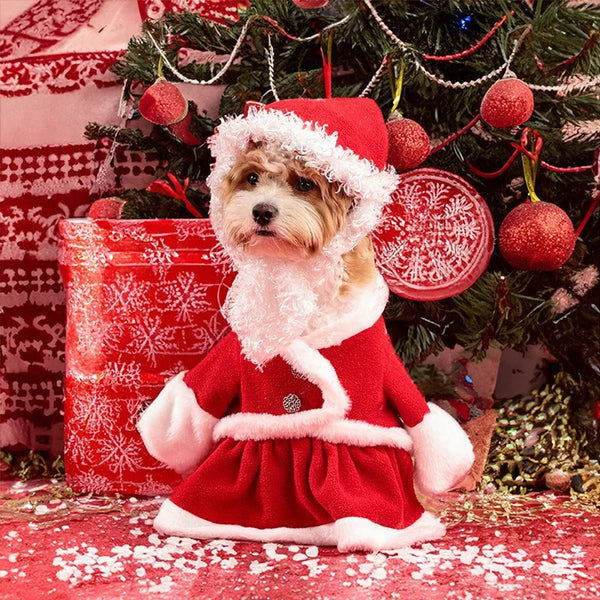 Festive Pet Wear – Christmas Costumes for Dogs & Kittens