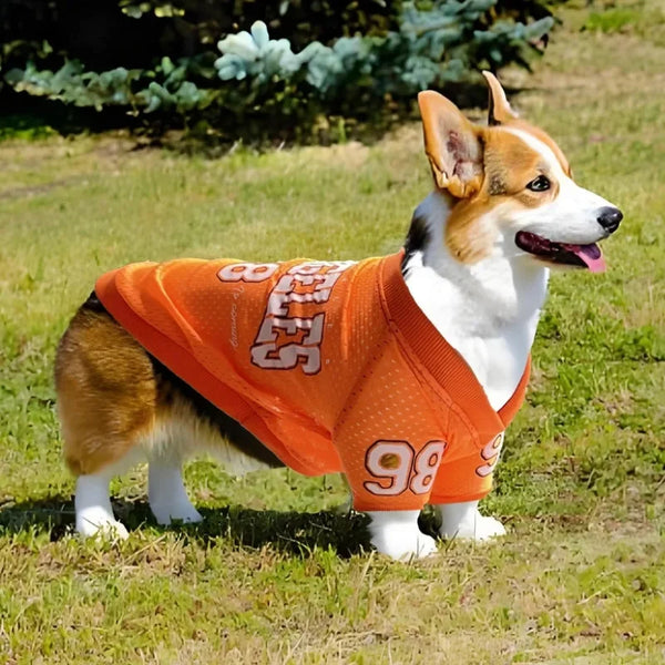 Breathable Dog Sports Jersey for Active Schnauzers & Large Pets