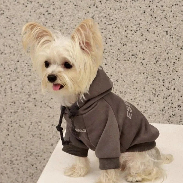 Urban Tail Dog Hoodie