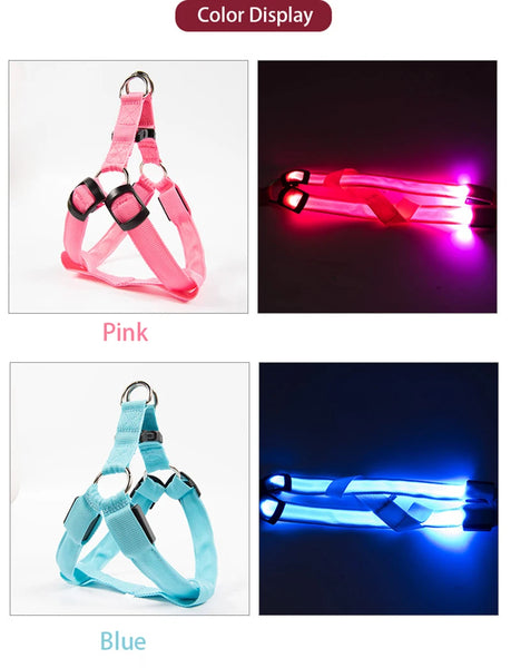 LED Dog Harness for Safety: Bright LumiTrail Lights for Safe Walks