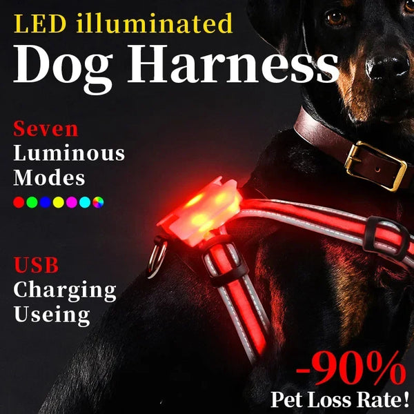 TrailGlow LED Dog Harness: Ultimate Safety with LED Visibility