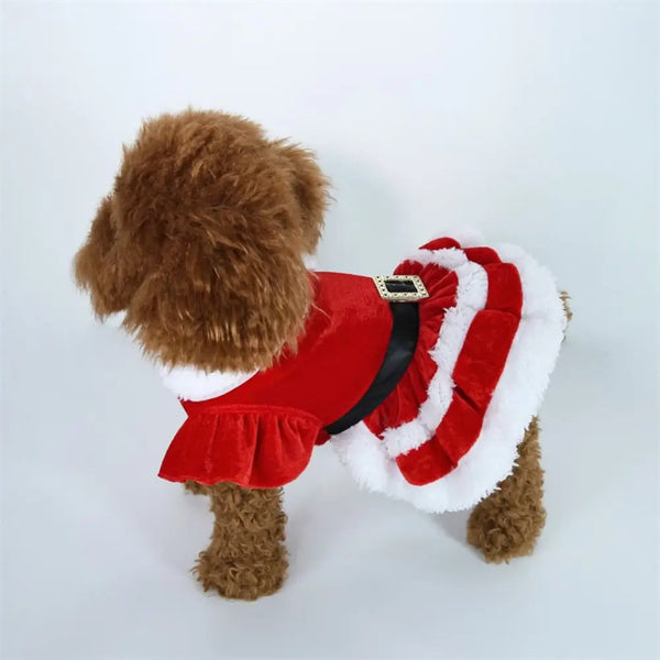 Christmas Pet Outfits – Holiday Apparel for Dogs & Kittens