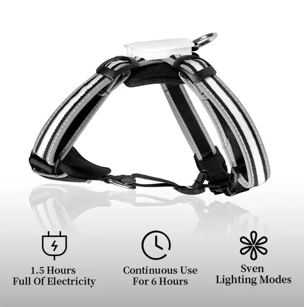 TrailGlow LED Dog Harness: Ultimate Safety with LED Visibility