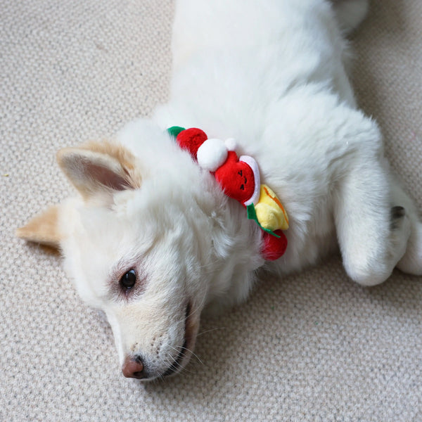 Yuletide Pet Collars & Bow Ties – Christmas Style for Dogs and Cats