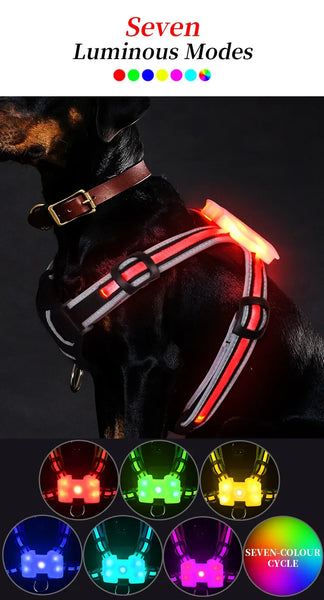 TrailGlow LED Dog Harness: Ultimate Safety with LED Visibility