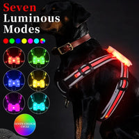 TrailGlow LED Dog Harness: Ultimate Safety with LED Visibility