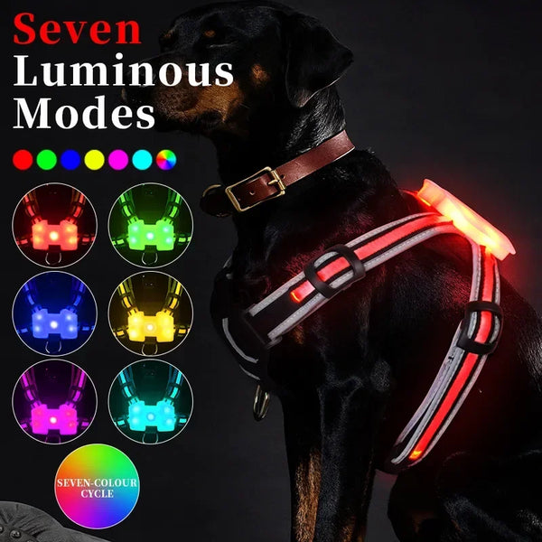 TrailGlow LED Dog Harness: Ultimate Safety with LED Visibility