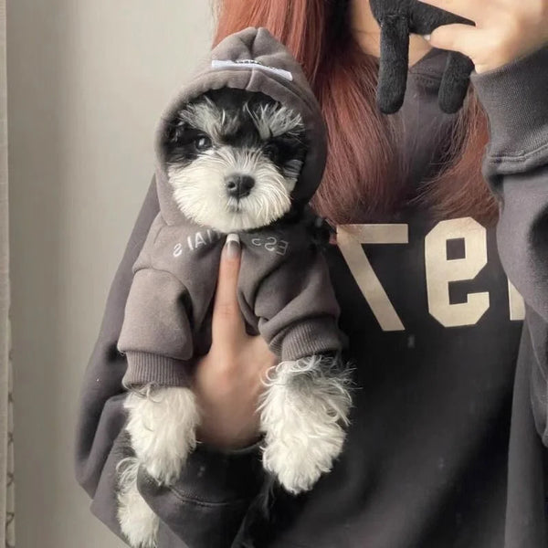 Urban Tail Dog Hoodie