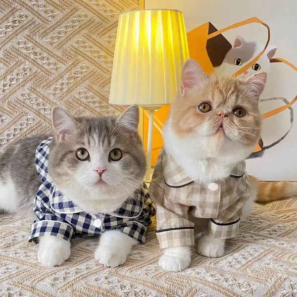 pet pyjamas for sweet dreams