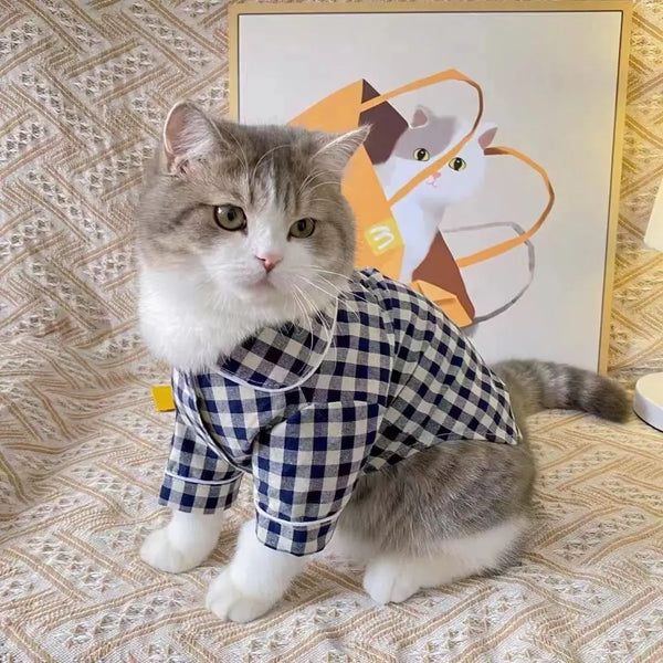 pet pyjamas for sweet dreams