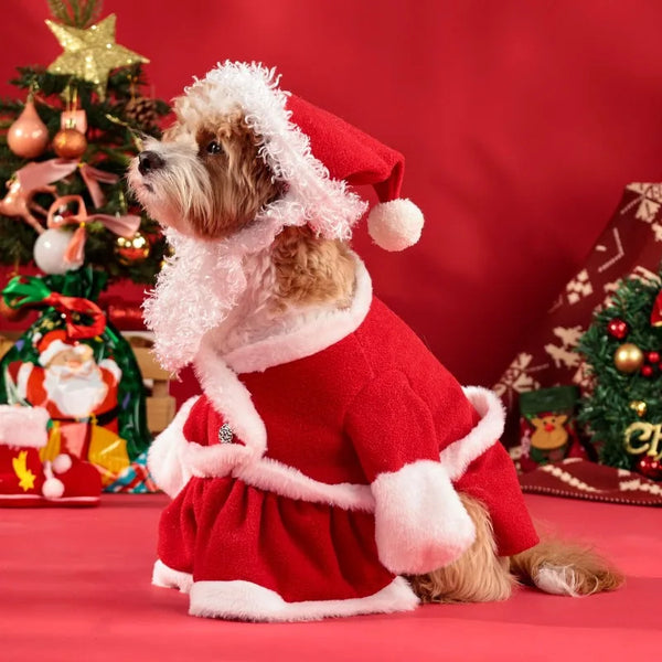 Festive Pet Wear – Christmas Costumes for Dogs & Kittens