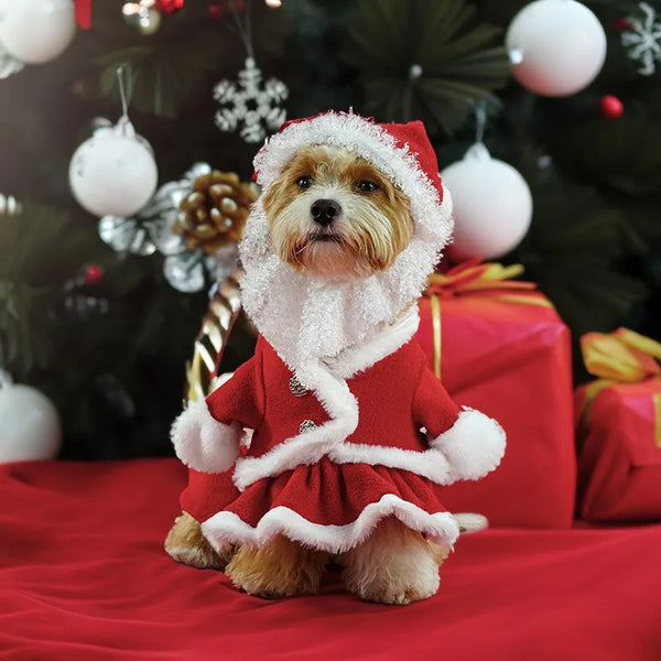 Festive Pet Wear – Christmas Costumes for Dogs & Kittens