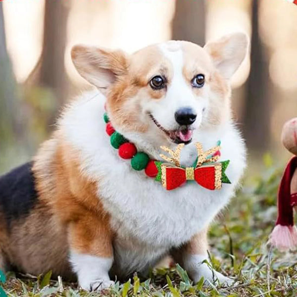 Holiday Pet Accessories – Christmas Collars & Bow Ties for Dogs & Cats