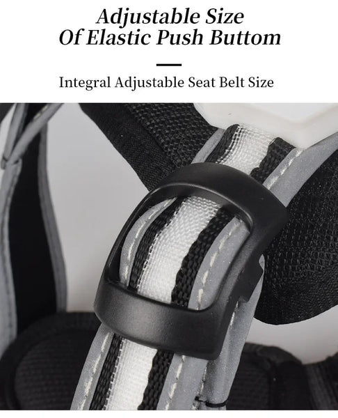 TrailGlow LED Dog Harness: Ultimate Safety with LED Visibility