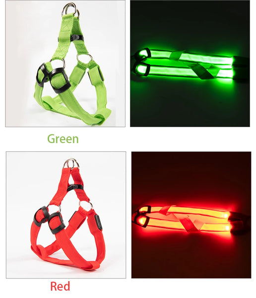 LED Dog Harness for Safety: Bright LumiTrail Lights for Safe Walks