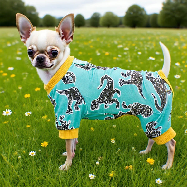 Adorable sleep wear: pet pyjamas