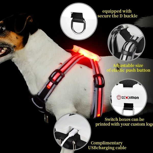 TrailGlow LED Dog Harness: Ultimate Safety with LED Visibility