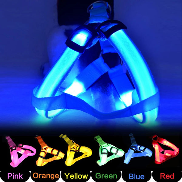 LED Dog Harness for Safety: Bright LumiTrail Lights for Safe Walks