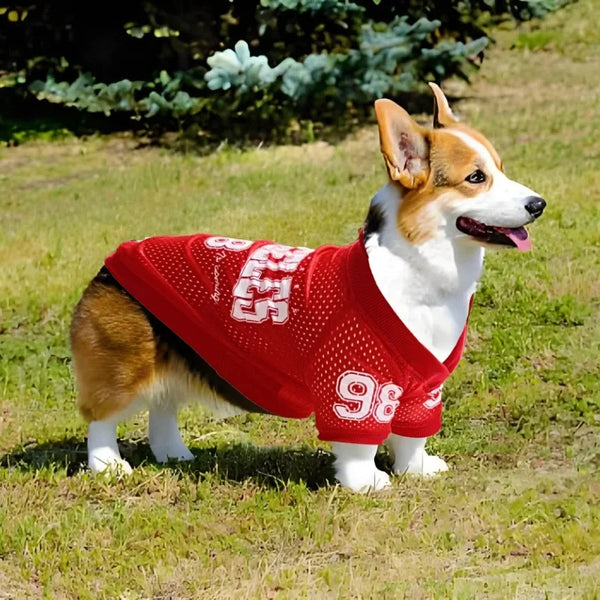 Breathable Dog Sports Jersey for Active Schnauzers & Large Pets